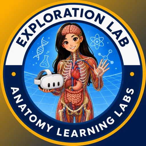 Anatomy Learning Labs: Exploration Lab cover artwork from the official Meta Store page