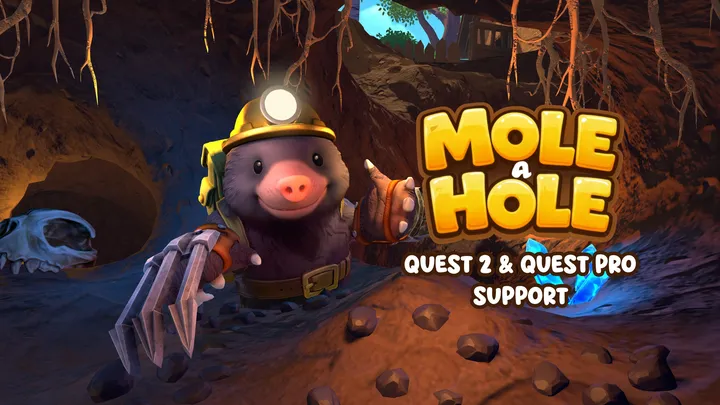 Mole a Hole cover artwork from the official Meta shop page