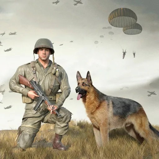 Call of Courage : World War 2 cover artwork from the official Meta Store page