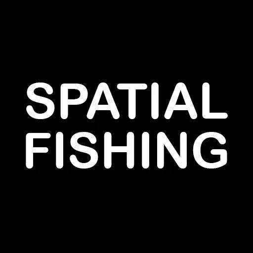 Spatial Fishing cover artwork from the official Meta Store page