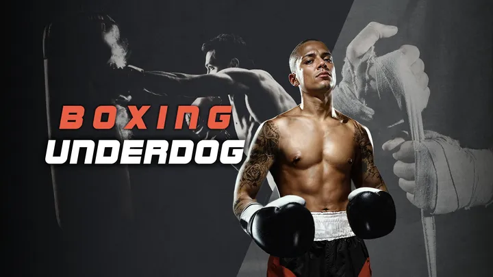 Boxing Underdog cover artwork from the official Meta shop page