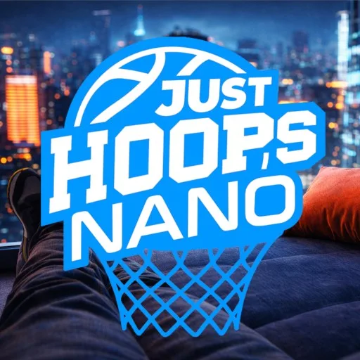 Just Hoops Nano cover artwork from the official Meta Store page