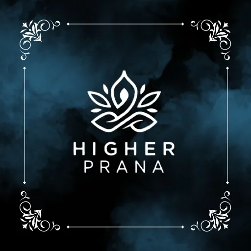 Higher Prana Demo cover artwork from the official Meta Store page