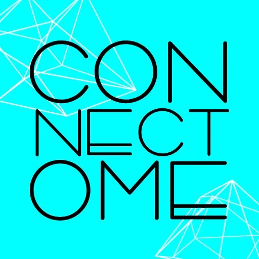 CONNECTOME cover artwork from the official Meta Store page