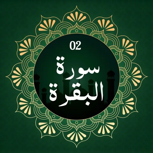 Surah Bakra cover artwork from the official Meta Store page