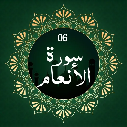 Surah Al-An'am cover artwork from the official Meta Store page