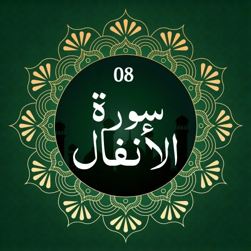 Surah Al-Anfal cover artwork from the official Meta Store page