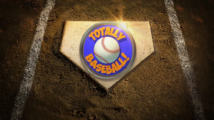 Totally Baseball cover artwork from the official Meta shop page