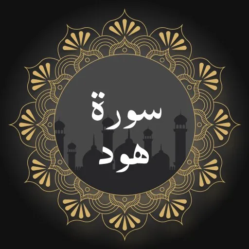 Surah Hud cover artwork from the official Meta Store page