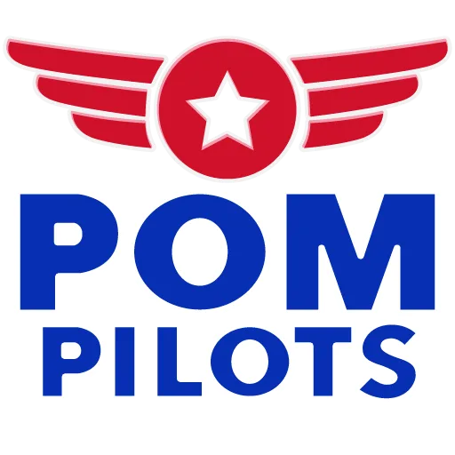 POM Pilots cover artwork from the official Meta Store page