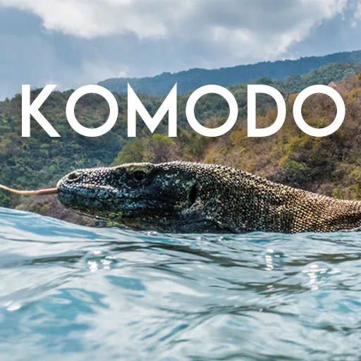 Komodo cover artwork from the official Meta Store page