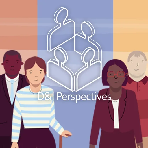 D&I Perspectives cover artwork from the official Meta Store page