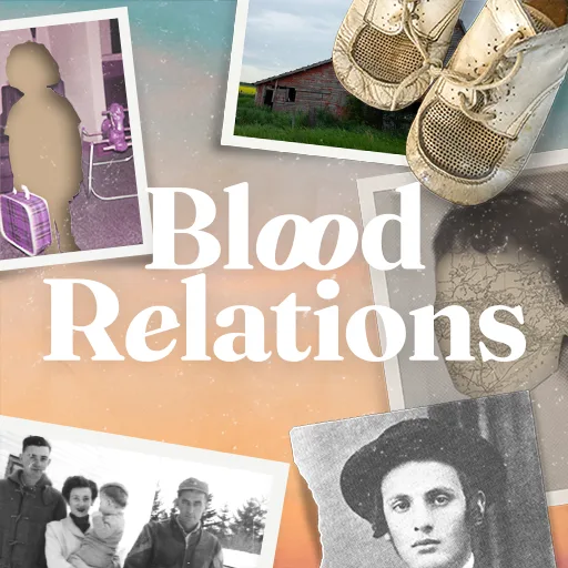Blood Relations cover artwork from the official Meta Store page