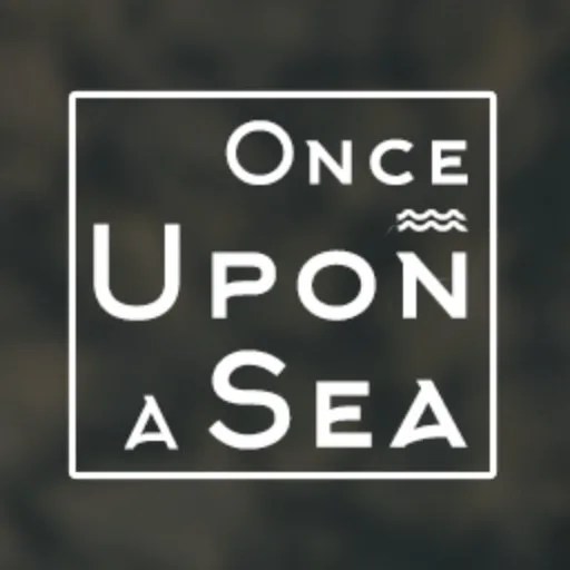 Once Upon a Sea - Eli Raz - The Prophet cover artwork from the official Meta Store page
