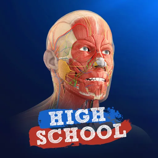 High School Anatomy for Quest cover artwork from the official Meta Store page