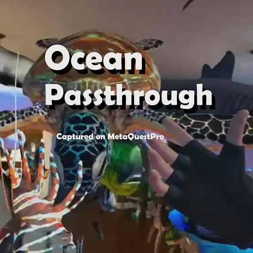 Ocean Passthrough cover artwork from the official Meta Store page