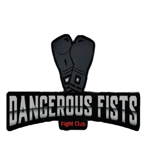 Dangerous Fists cover artwork from the official Meta Store page