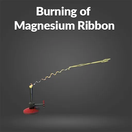 Burning of Magnesium Ribbon cover artwork from the official Meta Store page