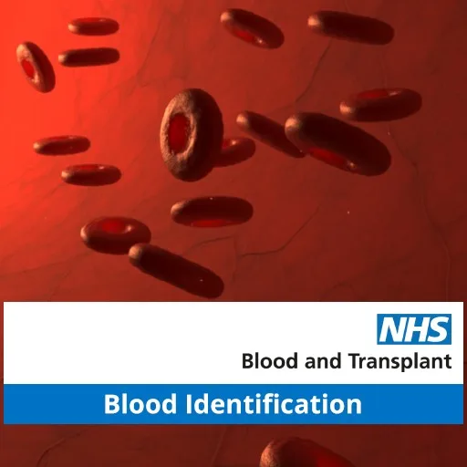 NHSBT Blood Identification VR AL cover artwork from the official Meta Store page