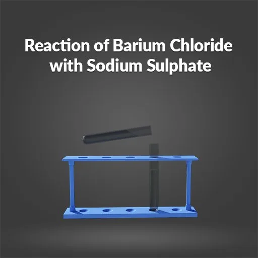 Reaction of Barium Chloride with Sodium Sulphate cover artwork from the official Meta Store page