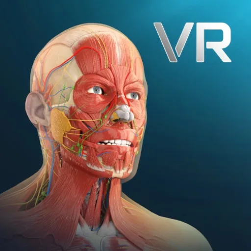 Human Anatomy VR cover artwork from the official Meta Store page