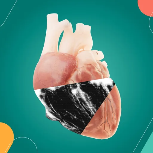 Echocardiography VR - VML cover artwork from the official Meta Store page