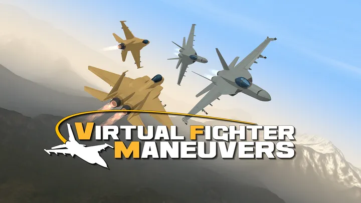 Virtual Fighter Maneuvers cover artwork from the official Meta shop page