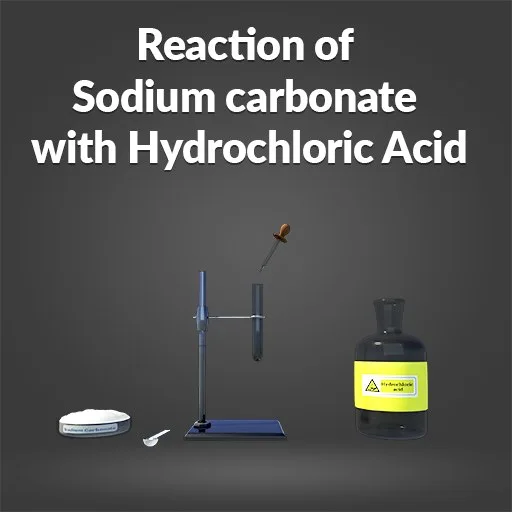 Reaction of Sodium Carbonate with Hydrochloric Acid cover artwork from the official Meta Store page