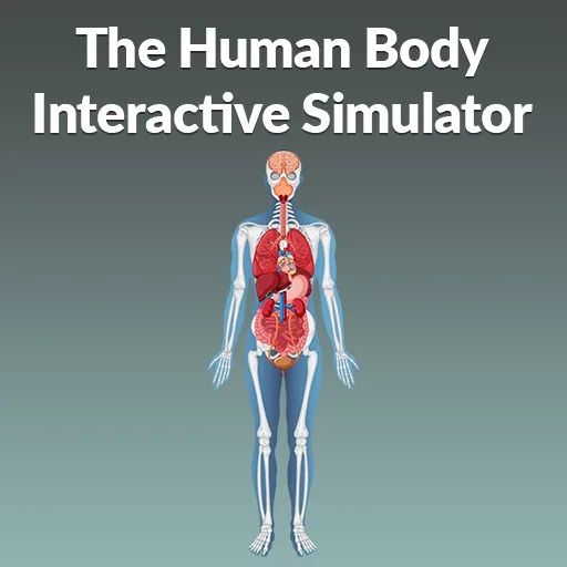 The Human Body Interactive Simulator cover artwork from the official Meta Store page