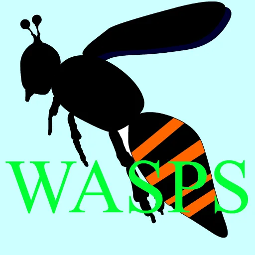 wasps cover artwork from the official Meta Store page