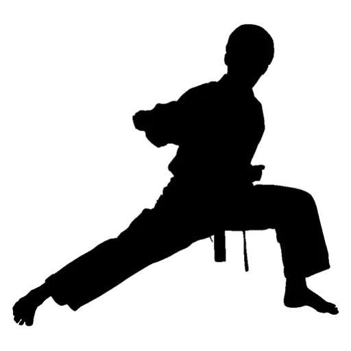 Taekwondo Poomsae Trainer cover artwork from the official Meta Store page
